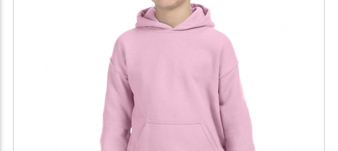 youth THE BRAND hoodie
