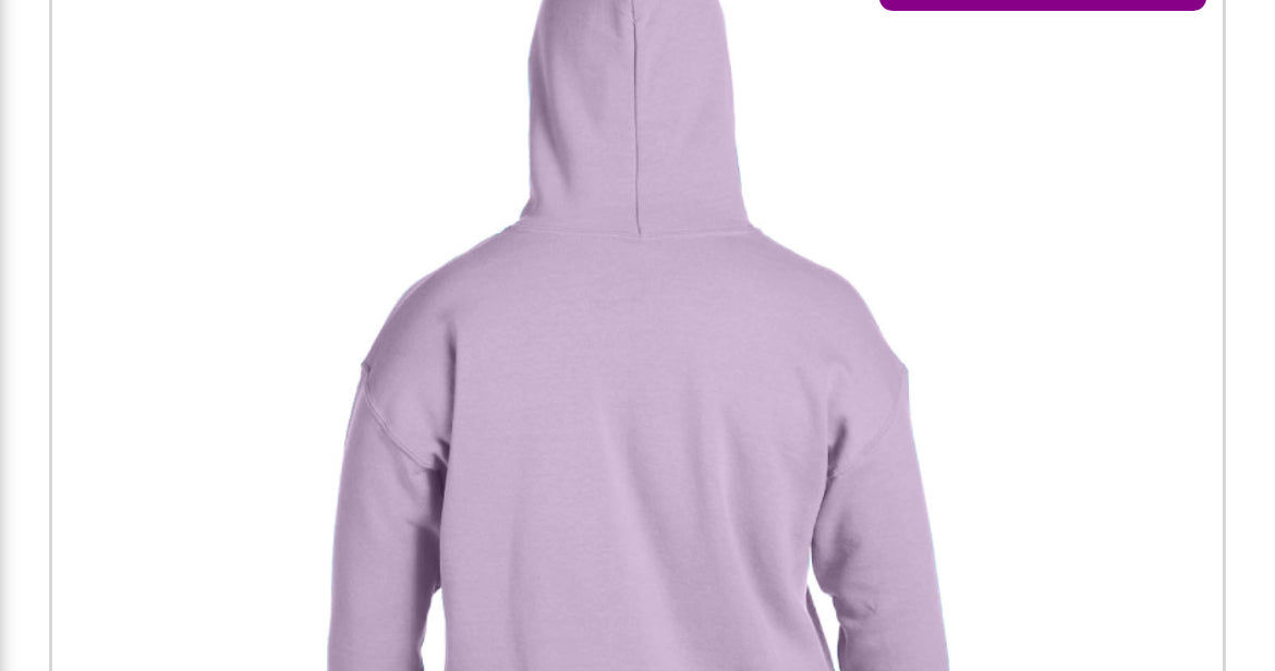 THE BRAND hoodie