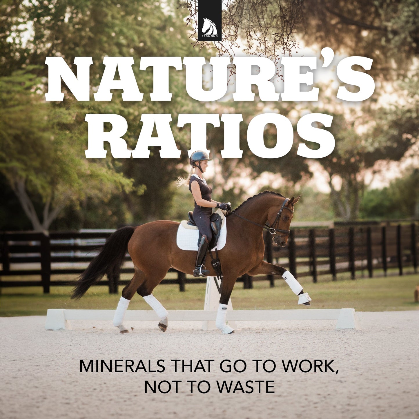 Daily Red® Crushed™ Garlic - Mineral Supplement for Horses