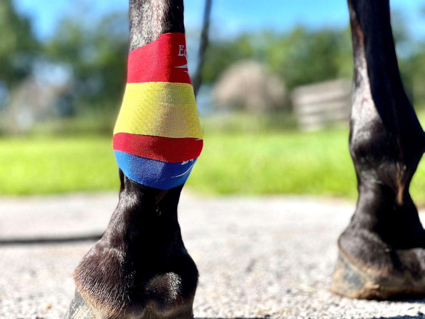 Equi-Taping® Kit