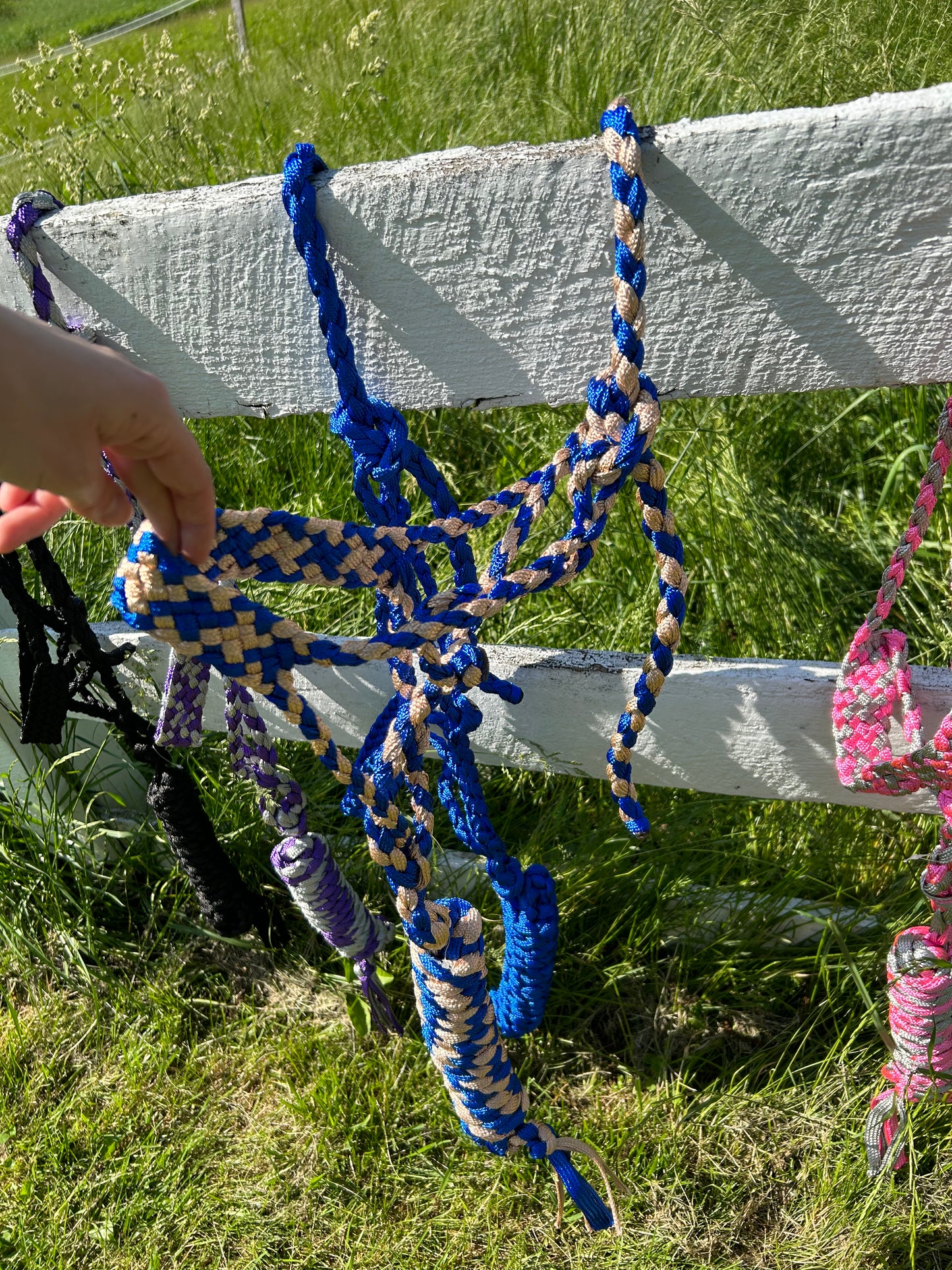 Muletape Halters with Detachable 10' Lead