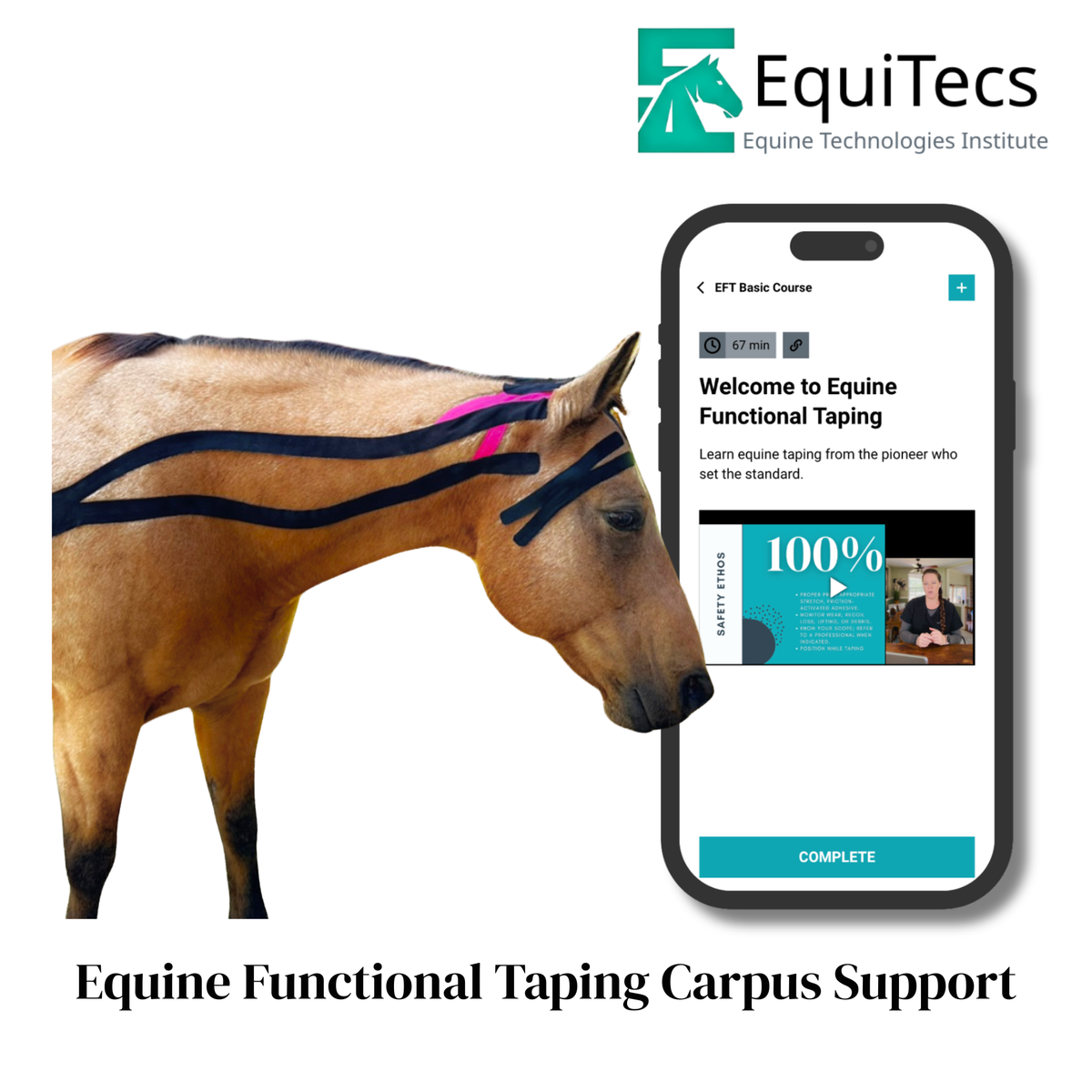 Libreria delle applicazioni EFT EquiTecs