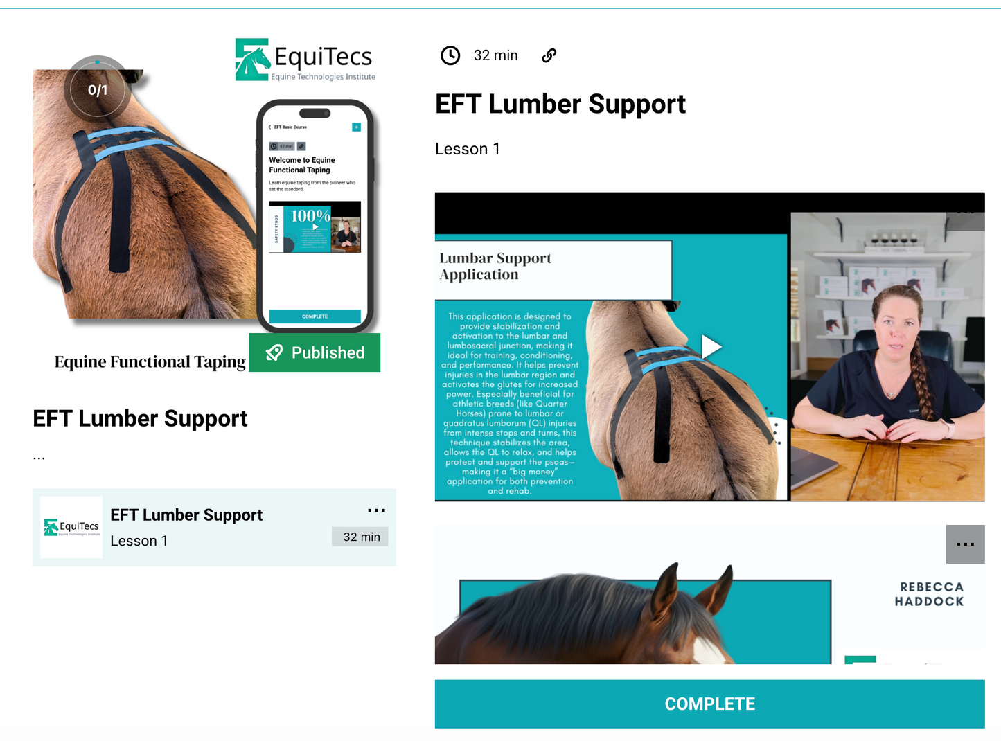 EFT Lumbar Support