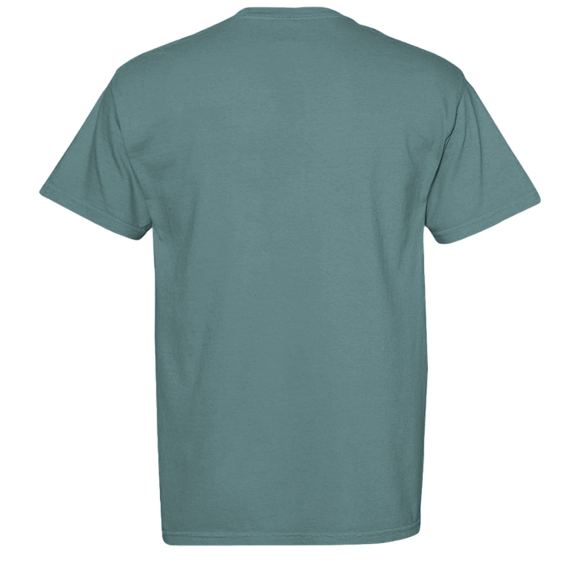 ICE BLUE - C1717 - BACK